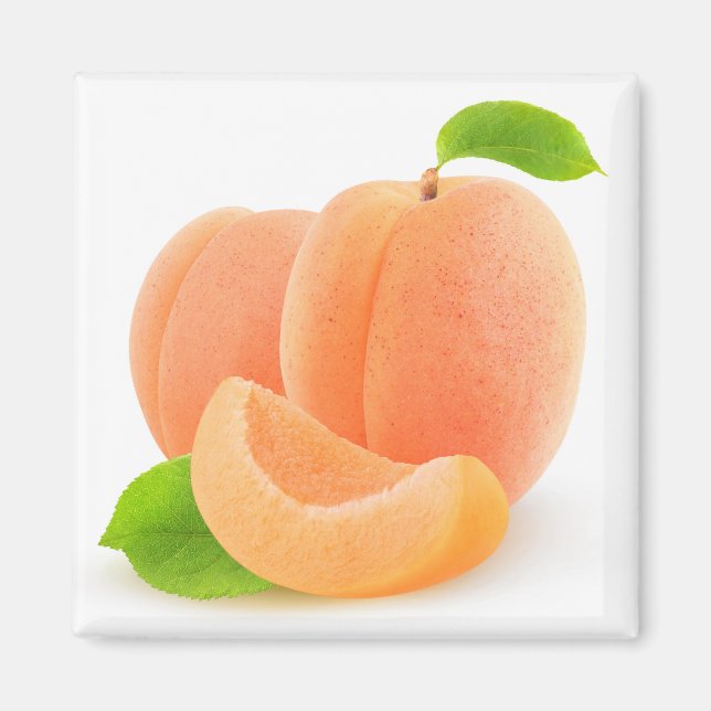 Aprikosen Magnet (Vorne)