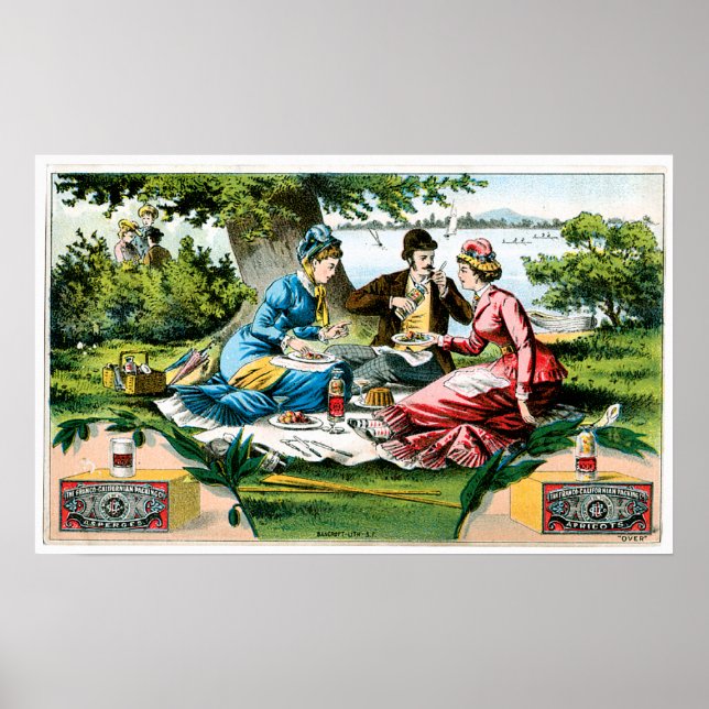 Aprikosen, Vintages Obst und Kunst Poster (Vorne)