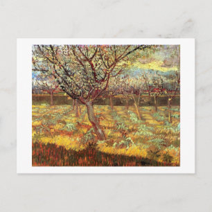 Aprikosenbäume in Blüte von Van Gogh Postkarte
