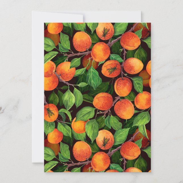 Aprikosengarten 1 (Vorderseite)