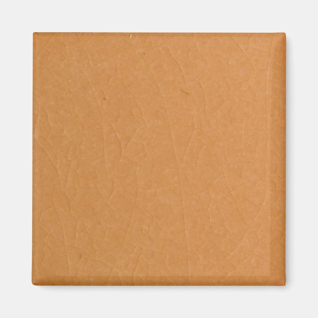 Aprikosenkleckse Magnet (Vorne)