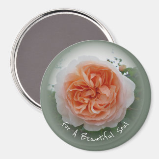 Aprikosenrose in voller Blüte mit grüner Vignette Magnet