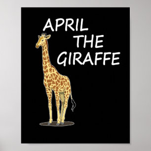 April Die Giraffe Poster