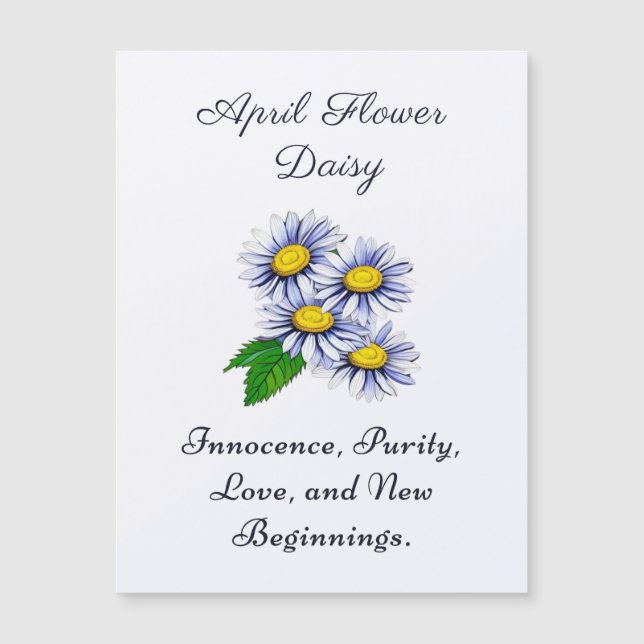 April Geburtsmonat Blume Daisy Fresh Magnetkarte (Vorderseite)