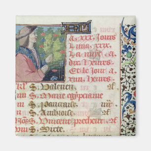 April: Sammeln-Blumen Magnet