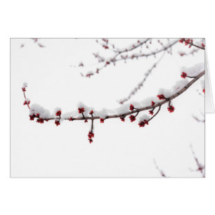 April-Schnee-leere Karte