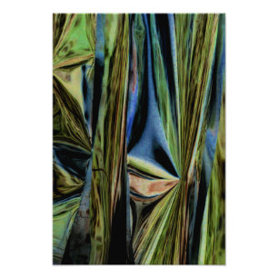 "April Woods III" Numériquement modifié Photo Abst