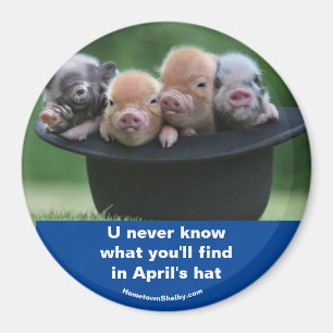 Aprilhut Magnet