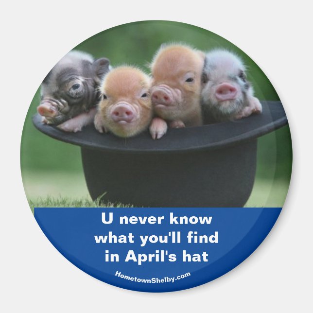 Aprilhut Magnet (Vorne)