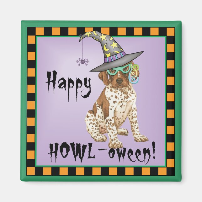 APS-Hexe Magnet (Vorne)