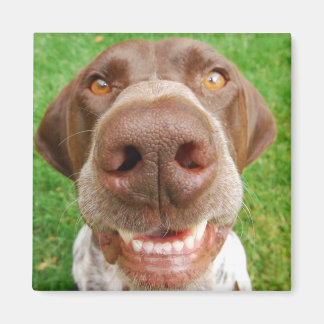 APS Smile Magnet