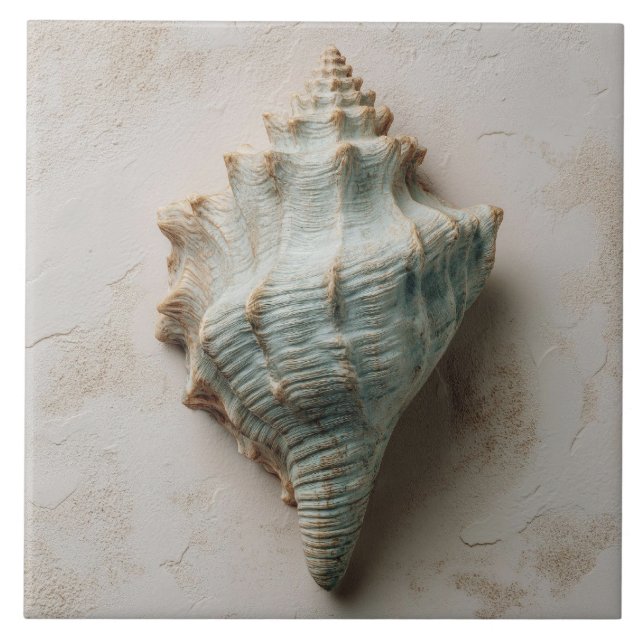 Aqua and Sand Coastal Conch Shell Fliese (Vorderseite)