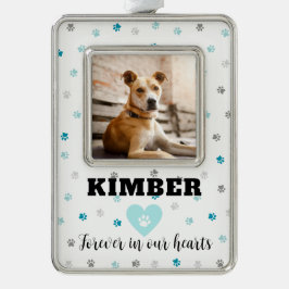 Aqua Aquamarin Blue Personalisiert Pet Rahmen-Ornament Silber