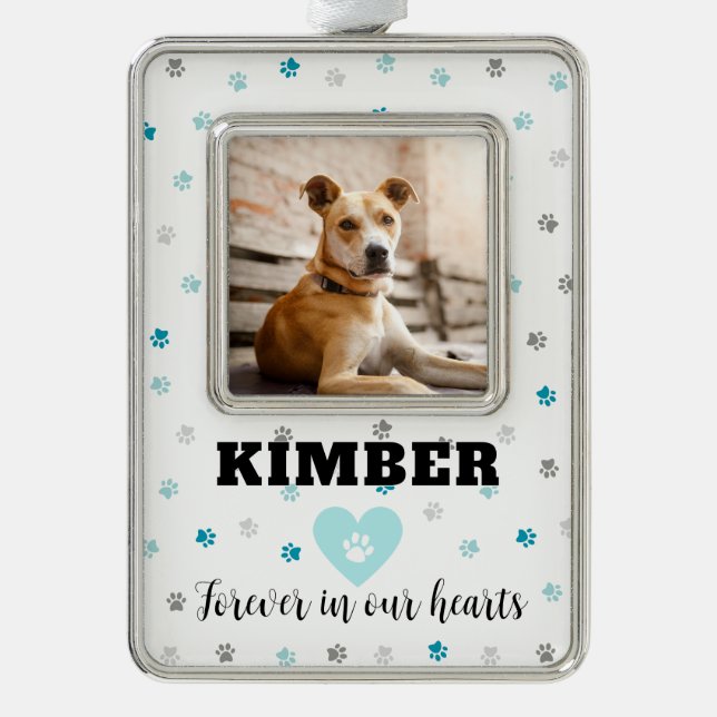 Aqua Aquamarin Blue Personalisiert Pet Rahmen-Ornament Silber (Vorderseite)