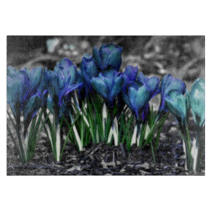 Aqua Blue Crocus Blooms Schneidebrett