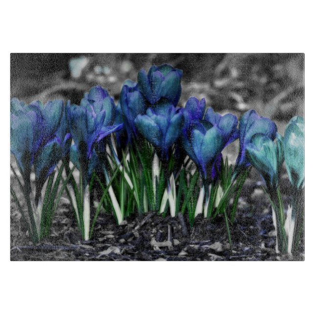 Aqua Blue Crocus Blooms Schneidebrett (Vorderseite)