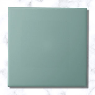 Aqua Blue Solid Color Fliese
