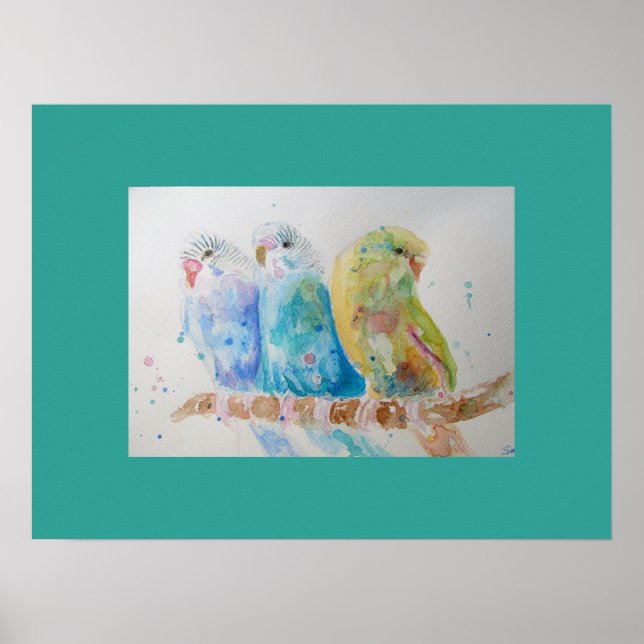 Aqua Budgie Budgie Budgies niedliches Kunst-Poster Poster (Vorne)