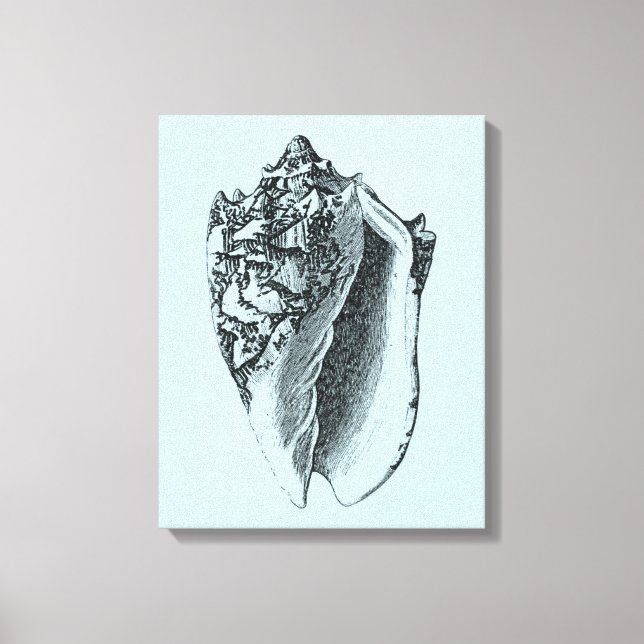 Aqua Conch Muschel Leinwanddruck (Vorderseite)