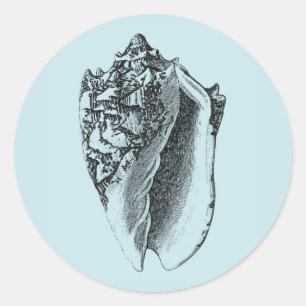 Aqua Conch Muschel Runder Aufkleber