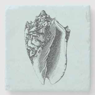 Aqua Conch Muschel Steinuntersetzer
