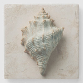 Aqua Conch Shell Coastal Art Steinuntersetzer