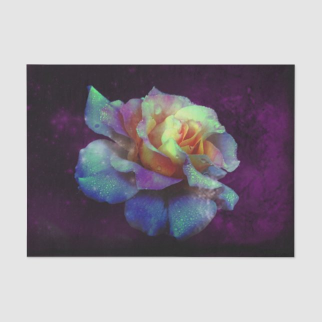 Aqua N Gelbe Rose w/Violet Seidenpapier (Vorderseite)