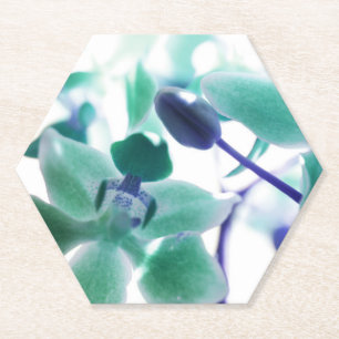 Aqua-Orchideen-Druck-Papier-Untersetzer Untersetzer