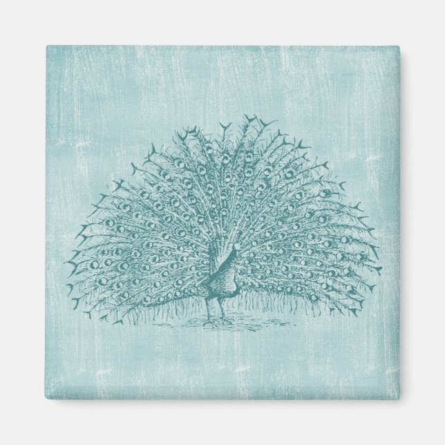 Aqua Pfau Magnet (Vorne)