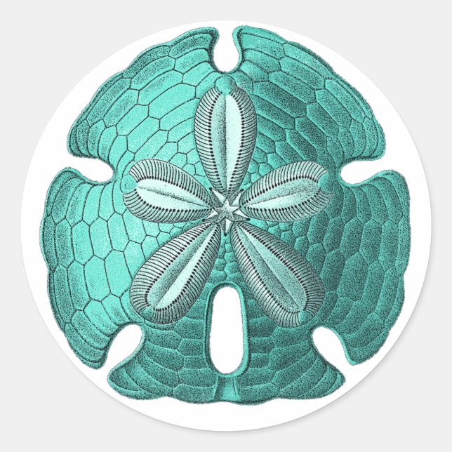 Aqua Sand Dollar Runder Aufkleber (Vorderseite)