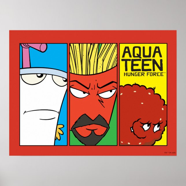 Aqua Teen Hunger Force Character Panel Graphic Poster (Vorne)