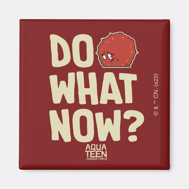 Aqua Teen Hunger Force Meatwad "Was jetzt tun?" Magnet (Vorne)