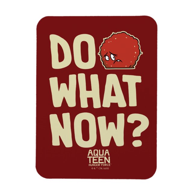 Aqua Teen Hunger Force Meatwad "Was jetzt tun?" Magnet (Vertikal)
