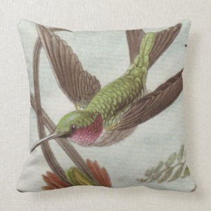 Aqua-/Türkis-Kolibri-dekoratives Wurfs-Kissen Kissen