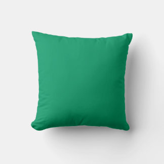 aqua turquoise solide coussin vert turquoise