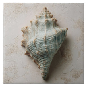 Aqua- und Sand-Kastengehäuse Fliese