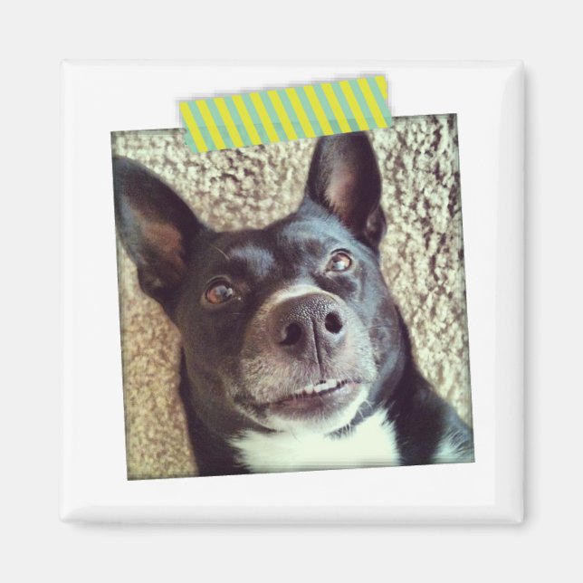 Aqua und Yellow Washi Tape Instagram Magnet (Vorne)