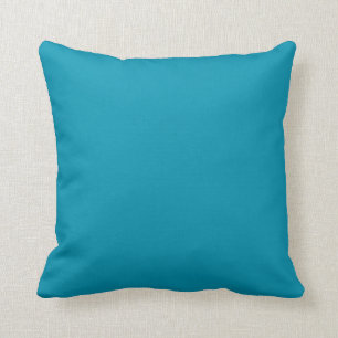 Aquamarin blau kissen