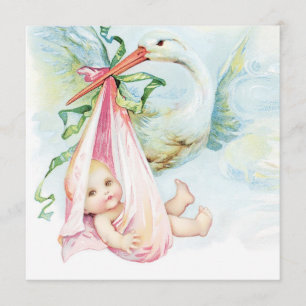 Aquamarin Blue and Pink Vintag Stork Baby Dusche Einladung