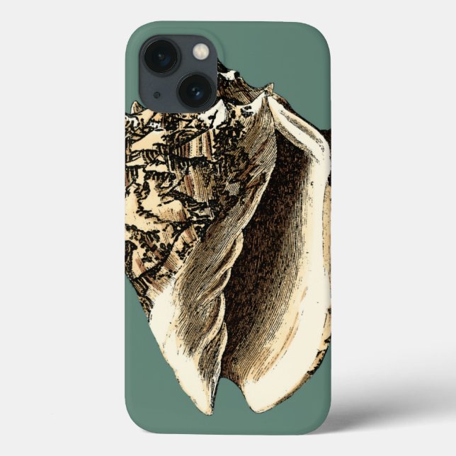 Aquamarin Conch-Muschel Case-Mate iPhone Hülle (Rückseite)