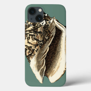 Aquamarin Conch-Muschel Case-Mate iPhone Hülle