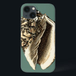 Aquamarin Conch-Muschel Case-Mate iPhone Hülle<br><div class="desc">In dieser schönen,  klassischen Muschel mit schwarz-weißer Konkade kann man die Schattierung einer natürlichen Muschel sehr scharf und klar sehen.  Sie können sich am Strand vorstellen,  auf der Suche nach Muscheln oder beim Spielen im Sand. Holen Sie sich diese nautische aquamarine Conch Muschel Kunst auf Ihre Lieblingsprodukte heute!</div>