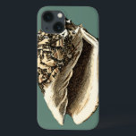 Aquamarin Conch-Muschel Case-Mate iPhone Hülle<br><div class="desc">In dieser schönen, klassischen Muschel mit schwarz-weißer Konkade kann man die Schattierung einer natürlichen Muschel sehr scharf und klar sehen. Sie können sich am Strand vorstellen, auf der Suche nach Muscheln oder beim Spielen im Sand. Holen Sie sich diese nautische aquamarine Conch Muschel Kunst auf Ihre Lieblingsprodukte heute!</div>