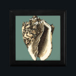Aquamarin Conch-Muschel Geschenkbox<br><div class="desc">In dieser schönen, klassischen Muschel mit schwarz-weißer Konkade kann man die Schattierung einer natürlichen Muschel sehr scharf und klar sehen. Sie können sich am Strand vorstellen, auf der Suche nach Muscheln oder beim Spielen im Sand. Holen Sie sich diese nautische aquamarine Conch Muschel Kunst auf Ihre Lieblingsprodukte heute!</div>