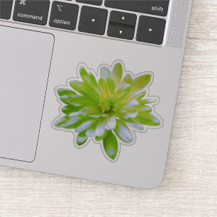 Aquamarin-gelbe Blume Retro Daisy Aufkleber