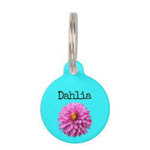 Aquamarin Pink Lila Dahlia Haustiermarke