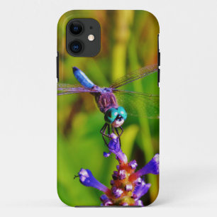 Aquamarin Rainbow Dragonfly iPhone 11 Hülle