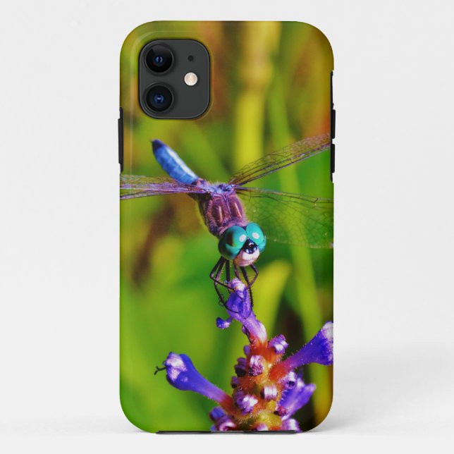 Aquamarin Rainbow Dragonfly Case-Mate iPhone Hülle (Rückseite)