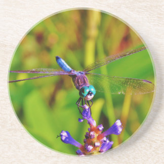 Aquamarin Rainbow Dragonfly Getränkeuntersetzer