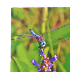 Aquamarin Rainbow Dragonfly Notizblock